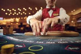 Antarmuka Taiwan Pools di oke judi dengan pilihan angka dan taruhan